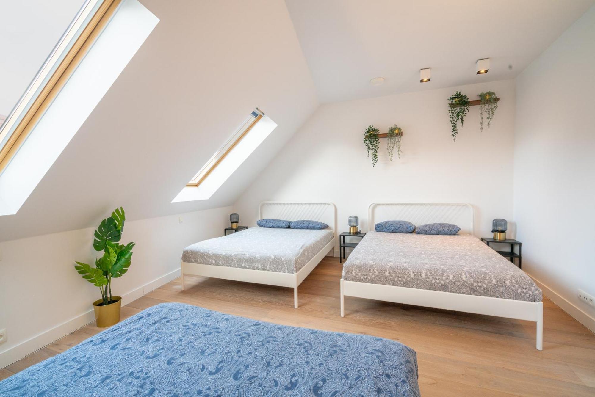 Light House Lodge. Apartment In Center Of 안트베르펜 외부 사진